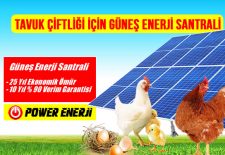 tavuk ciftlik gunes paneli elektrik uretimi solar enerji maliyeti